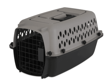 Vibrant Life Pet Kennel 19" X-Small Plastic Dog Crate Portable Carrier for Pets up to 10 lbs