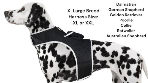 NEW Waterproof Mini GPS Dog Collar Tracker w/ Comfortable Buckle Clip Size:S