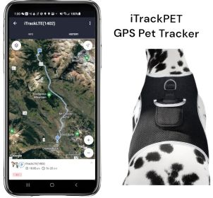 NEW Waterproof Mini GPS Dog Collar Tracker w/ Comfortable Buckle Clip Size:XS