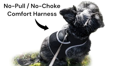 NEW GSM GPS Mini Collar Waterproof Realtime Tracker - Your Dog Safety Size:S