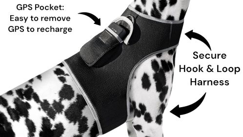 NEW Mini GPS GSM Pet Tracker Locator Alarm Cat Dog Protection Security Size:XS