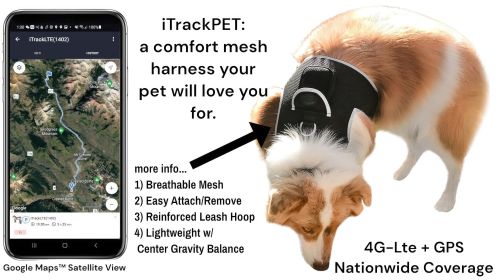 NEW GSM GPS Mini Collar Waterproof Realtime Tracker - Your Dog Safety Size:XS